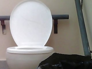 Hot Spy Toilet